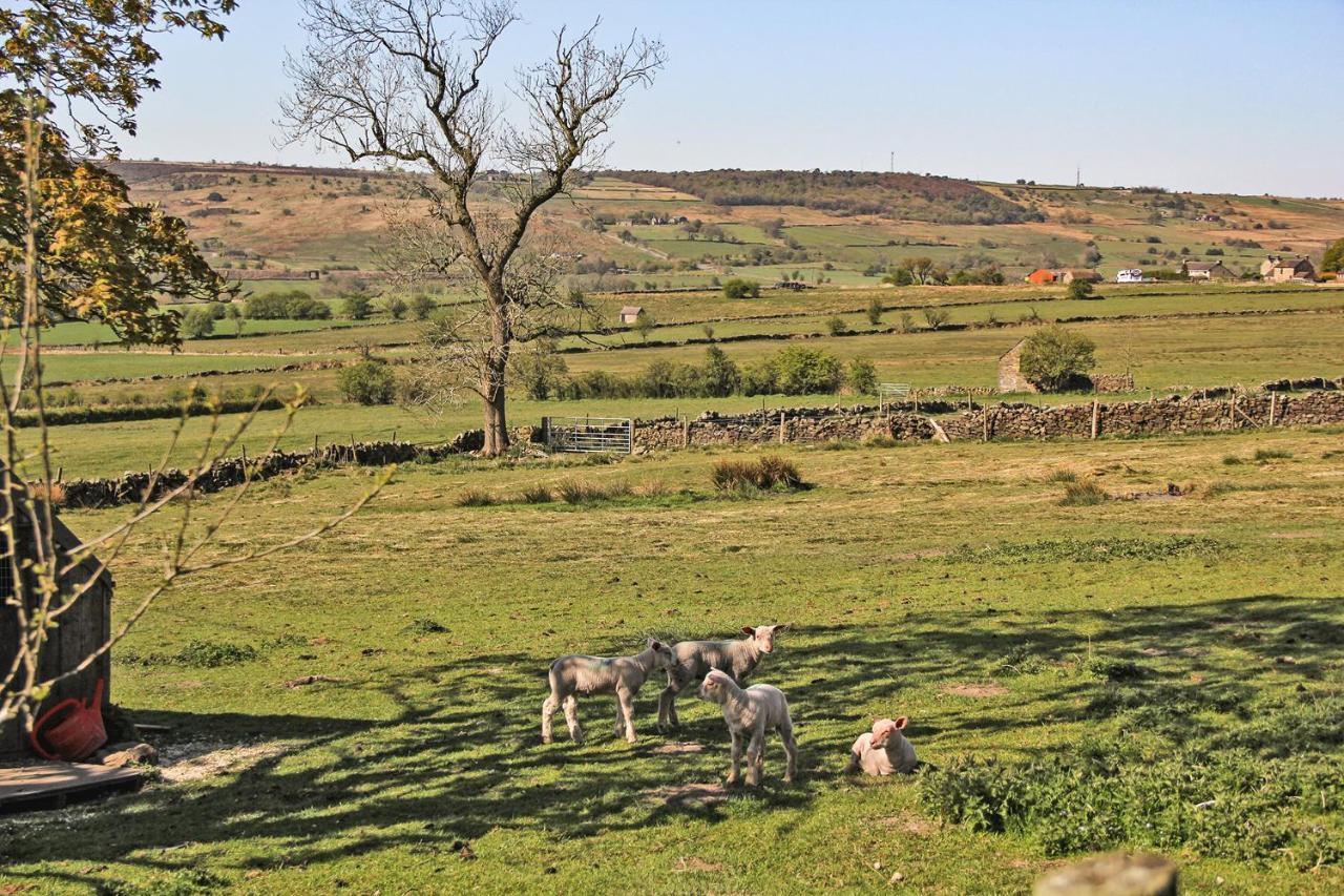 Moorland View Farm B&B Oakamoor Экстерьер фото